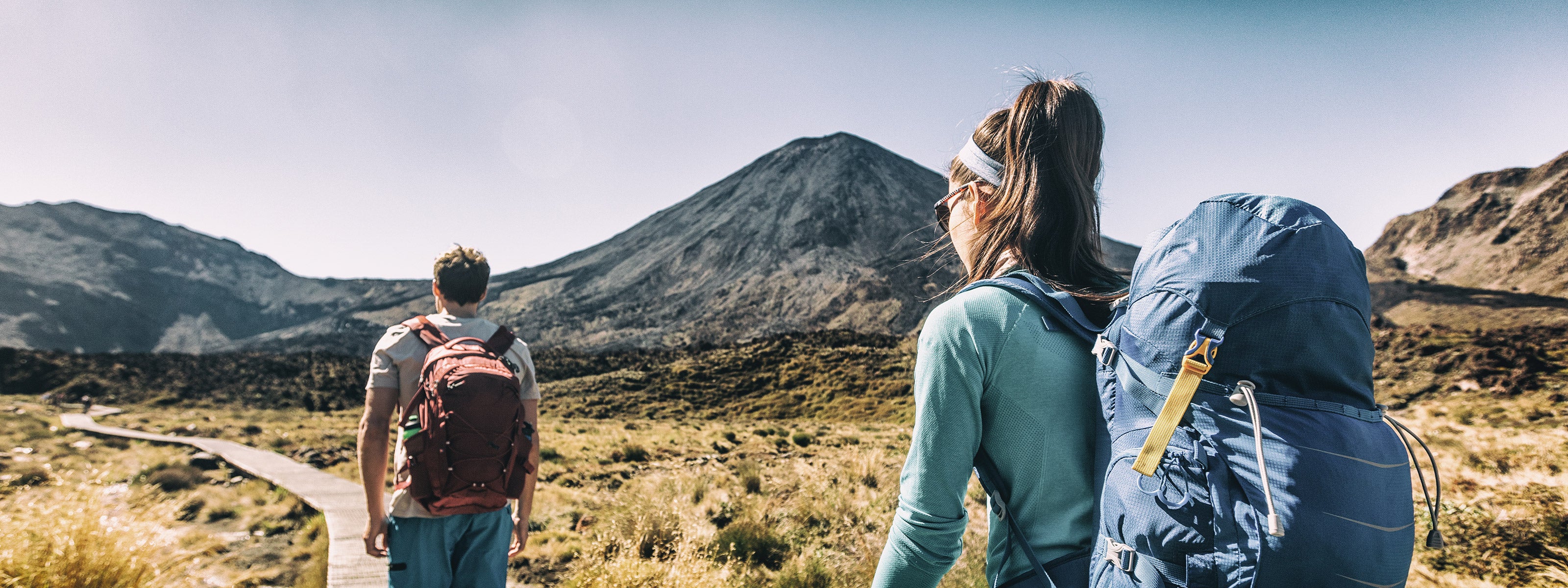 Welcome to Mitosynergy main section background