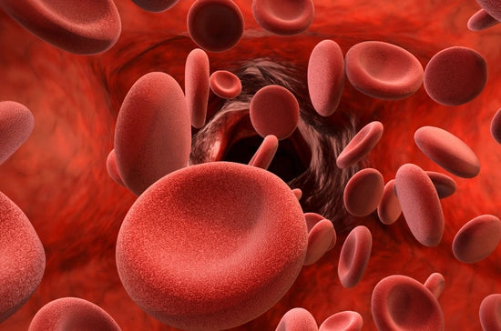 Cardiovascular Implications