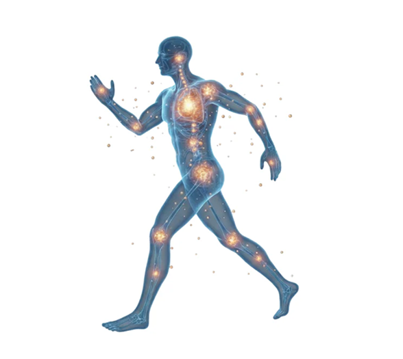 Day 14 – Optimizing Daily Function