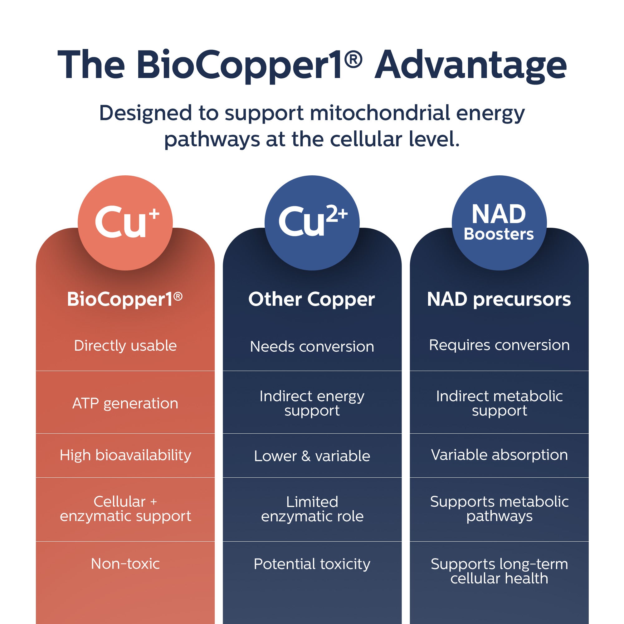 MitoSynergy Original Formula with BioCopper1 (Cunermuspir)