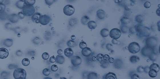 Oxidative Stress