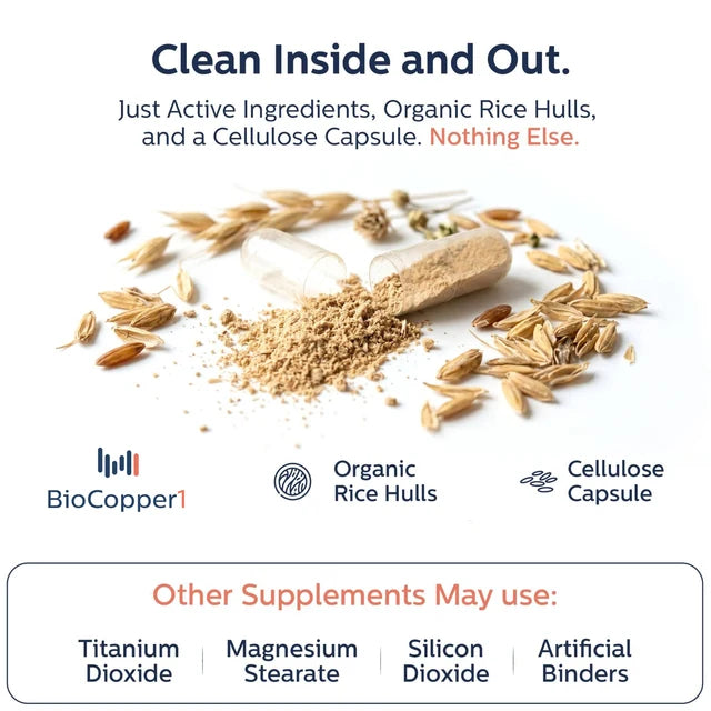 Clean inside and out: just active ingredients, organic rice hulls, and a cellulose capsule