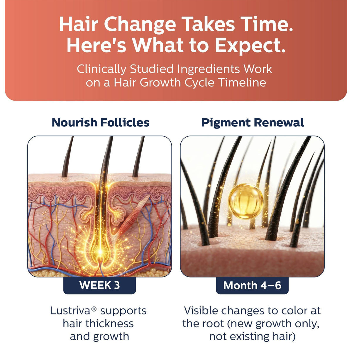 Hair change takes time: week 3 follicle nourishment, month 4 to 6 pigment renewal